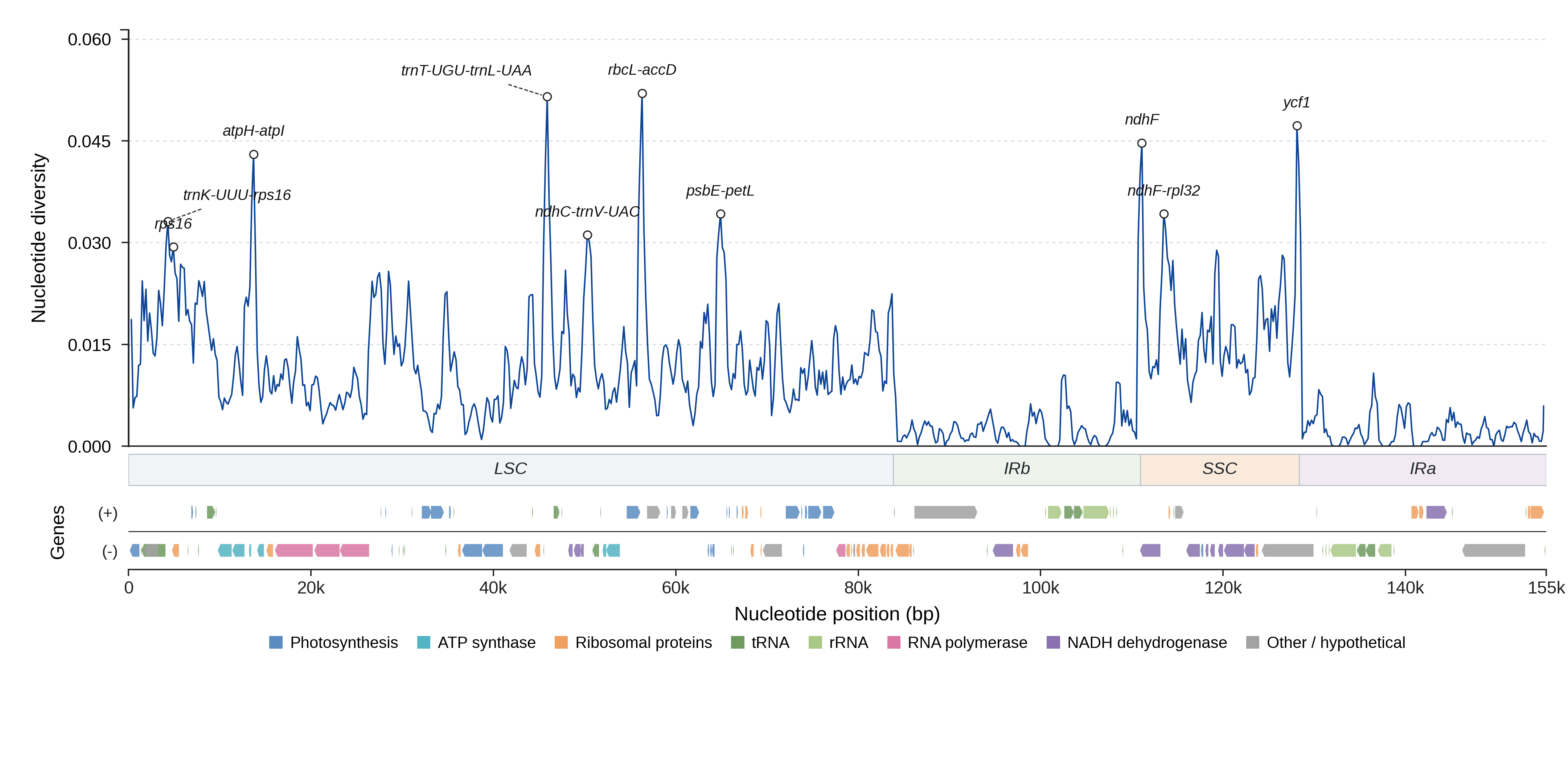 Sliding-window nucleotide diversity