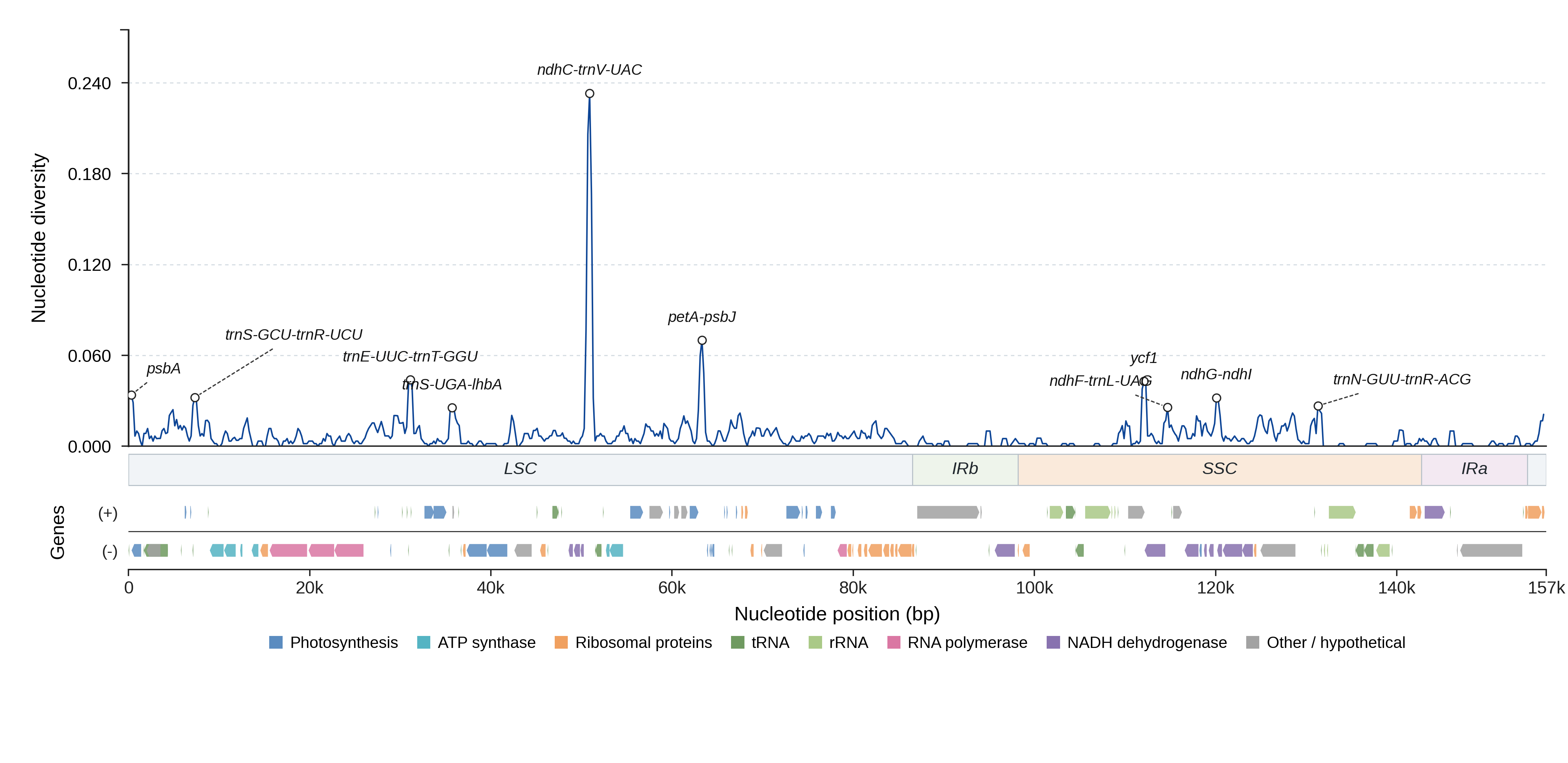 Sliding-window nucleotide diversity