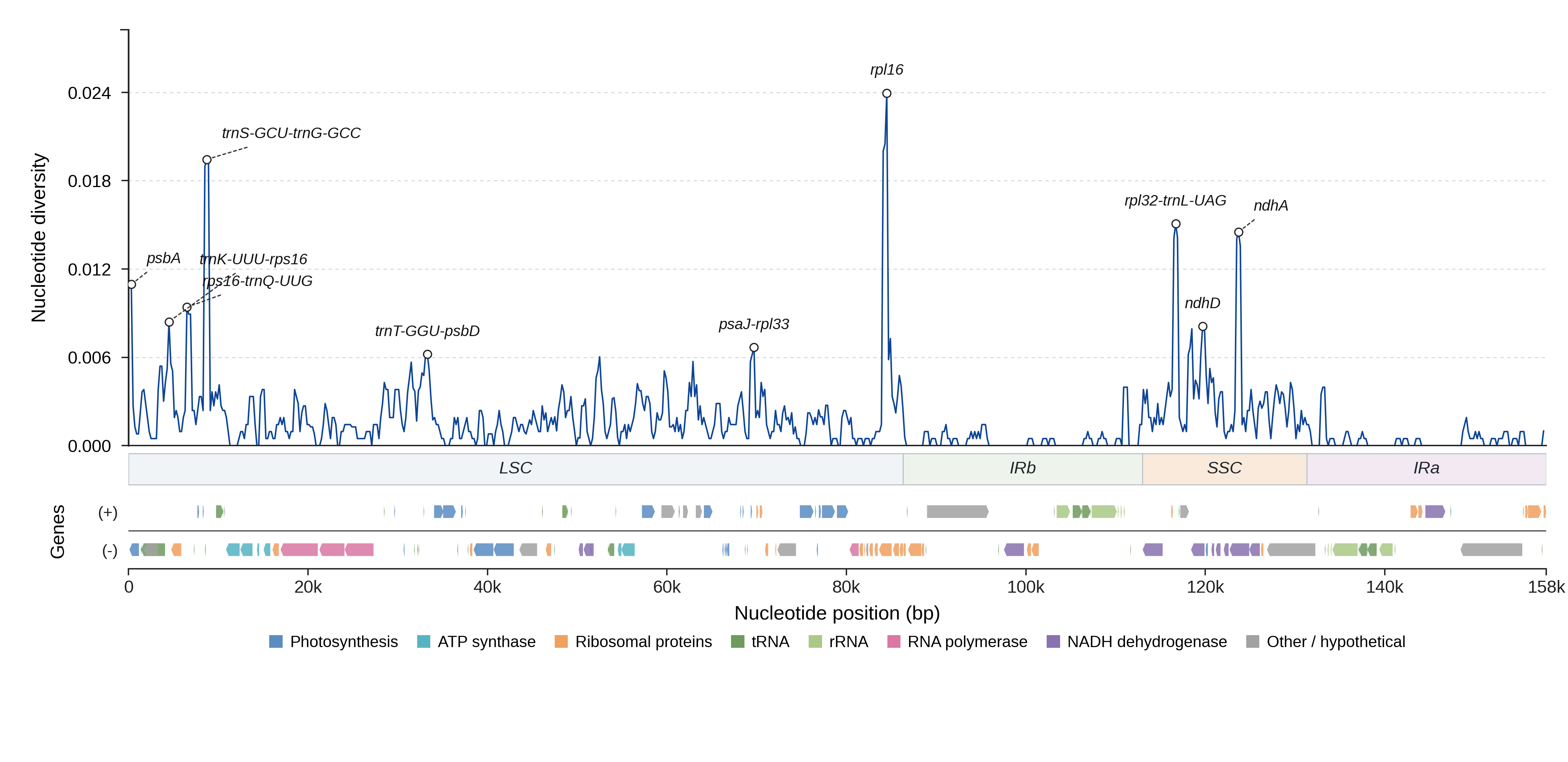 Sliding-window nucleotide diversity