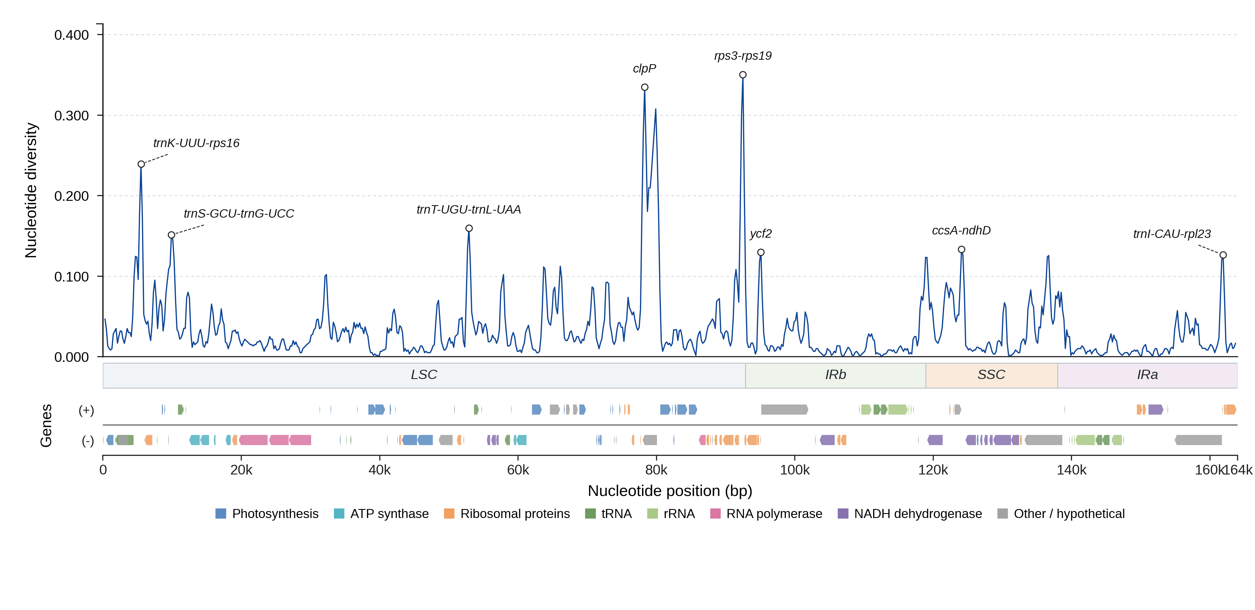 Sliding-window nucleotide diversity