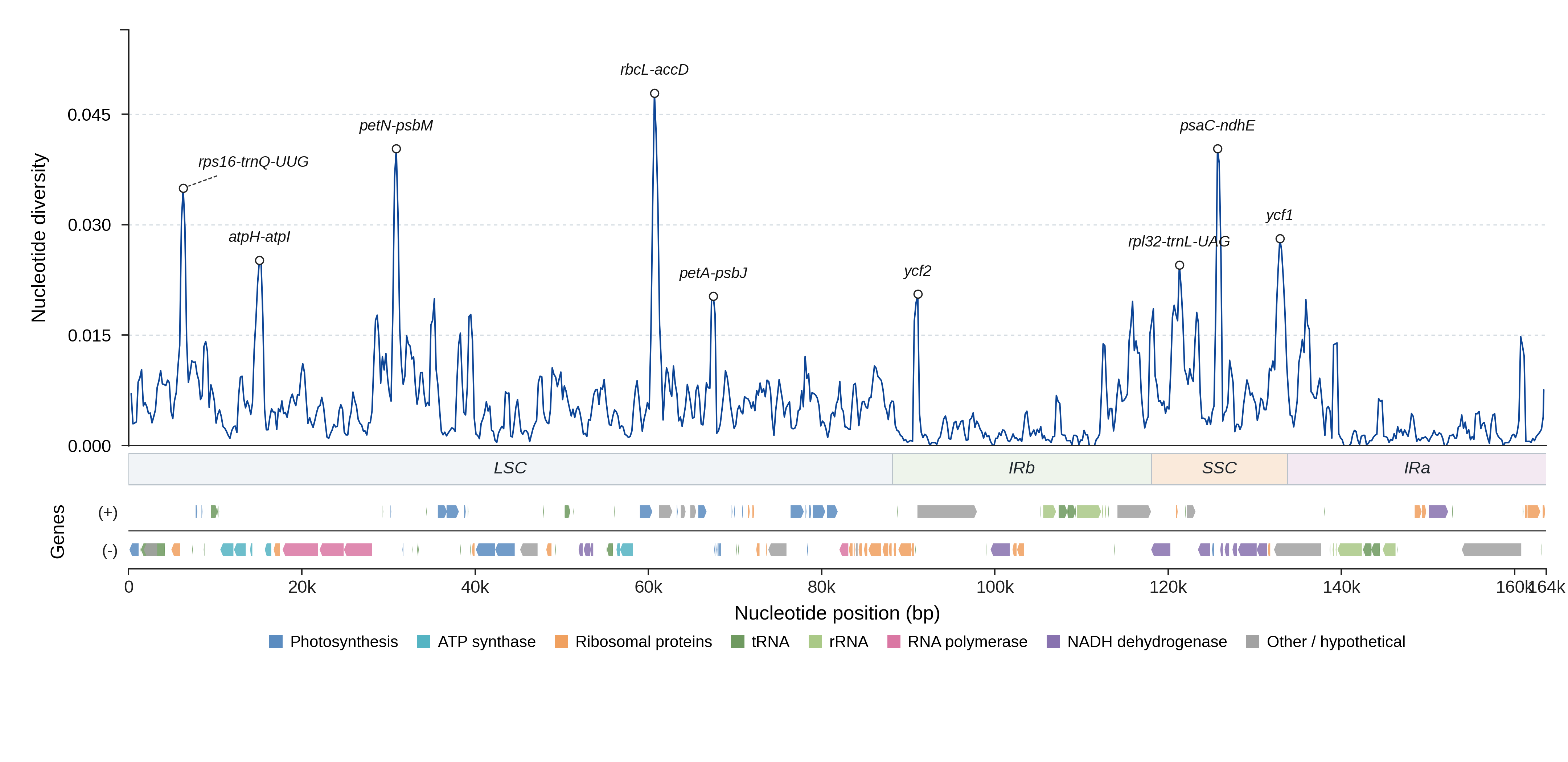 Sliding-window nucleotide diversity