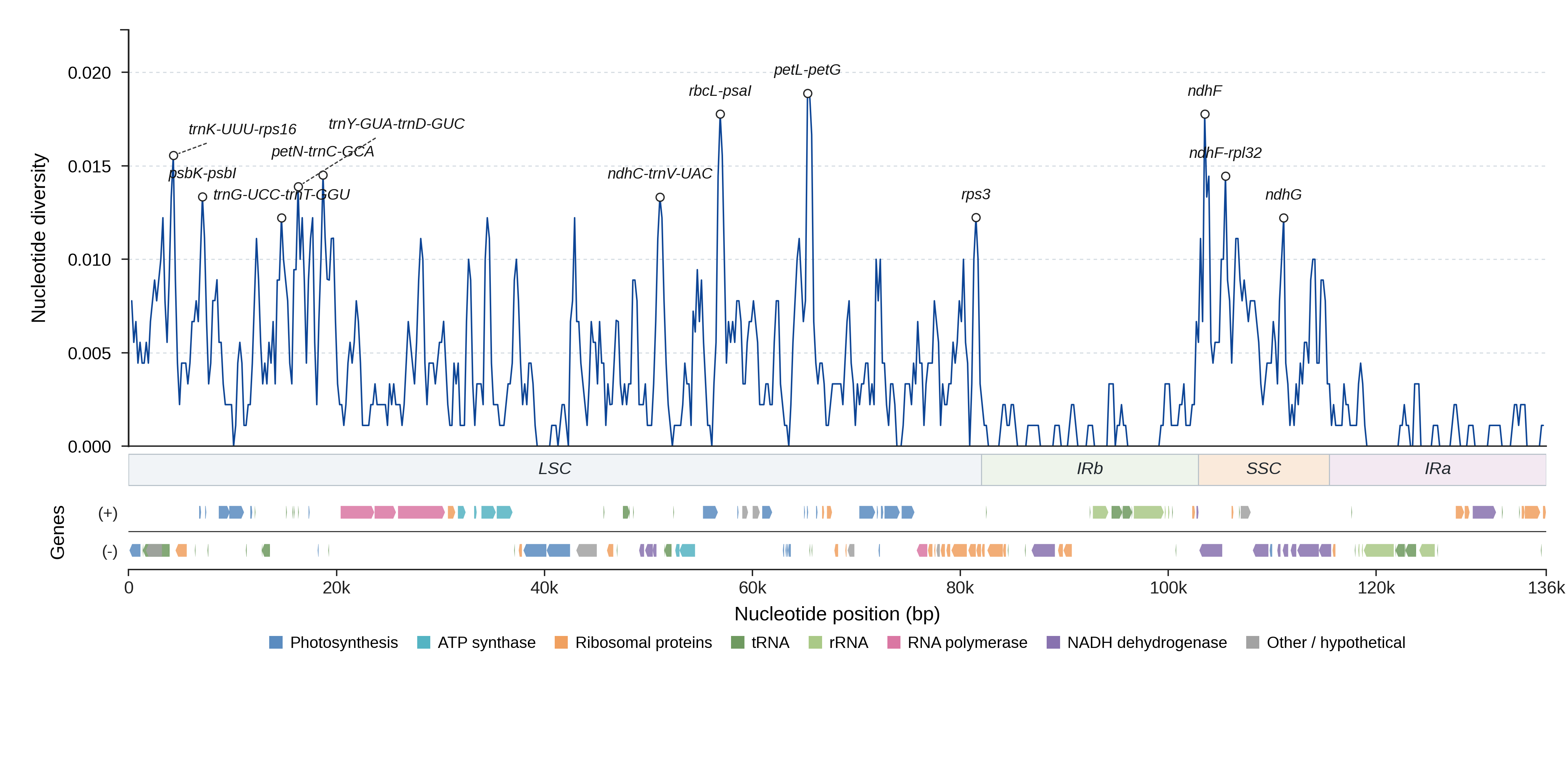 Sliding-window nucleotide diversity